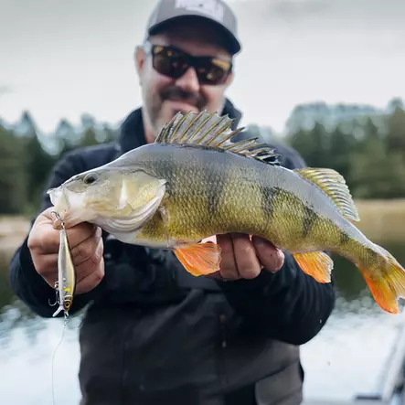 PXRAB100 - Woblers - PXRAB100 - 2