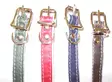Halsband 1,5x35cm - Hundeausrüstung - 0699900008430 - 1