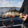 Rapala Snare 6cm 16g - Skeddrag - SN50 - 2