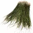 Påfågel fjädrar - Naturliga bindmaterial - 053526042030 - 1