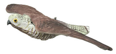 Live Hawk, Bild eineshawks - Lockbilder - 6999000145160 - 1