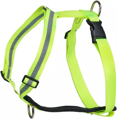Yellow - Dog accessories - 6438406005391 - 1