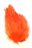 Fl Orange - Naturliga bindmaterial - 762820005381 - 1