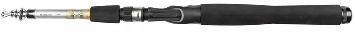 Daiwa Silvercast telescopic rod 6' 10-30g - Casting rods - 5055545241833 - 1