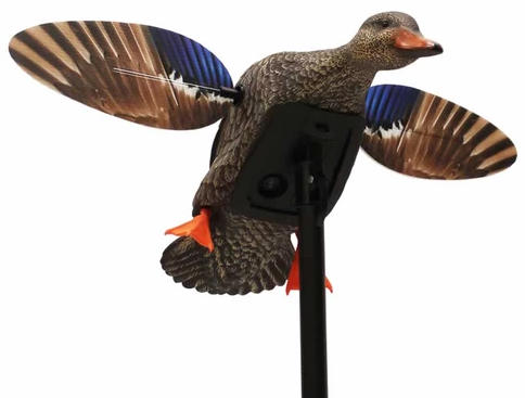 Mojo Roboschwan, Mini Erpelente - Lockbilder - 0816740003931 - 1