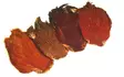 Cock Cape - Natural fly materials - 641751202642 - 1