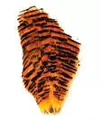 Golden Pheasant Complete Tippet - Naturliga bindmaterial - 6430028182442 - 1