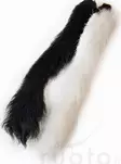 Kiptail, Calf Tail, Wapsi - Natural fly materials - 05352607102 - 2