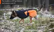 Non-Stop Glacier 2.0 jacket, size 40-50 - Dog accessories - 3201glacier2 - 2