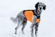 Non-Stop hundväst Hunting jacket orange - Hundtillbehör - 707165201742 - 5