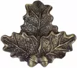Troféfäste för vildsvinsbetar, brons - Trofé produkter - 4250392314452 - 1