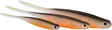 Westin ShadTeez Pintail 13cm 6g, 2 Stück - Jigs und Shads - P245-000-252 - 2