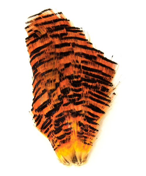 Golden Pheasant Complete Tippet - Naturliga bindmaterial - 6430028182442 - 1