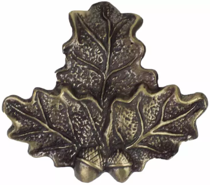 Troféfäste för vildsvinsbetar, brons - Trofé produkter - 4250392314452 - 1