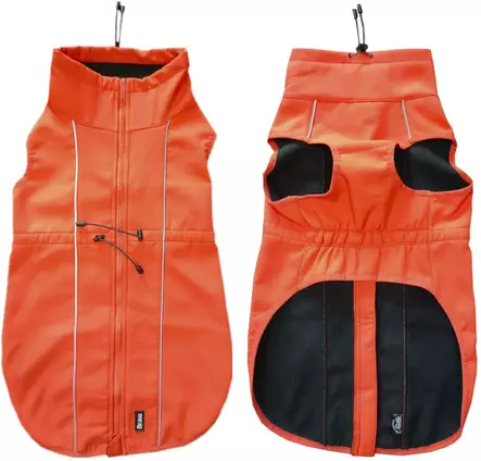 Orange - Dog accessories - 6438406009243 - 1