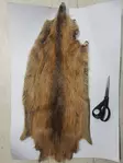 Nutria, ganzes Leder - Natürliche Fliegenmaterialien - 0699901459453 - 2
