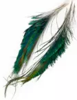 Veniard, Pfauenschwanzschwänze - Natürliche Fliegenmaterialien - 005352604203 - 1