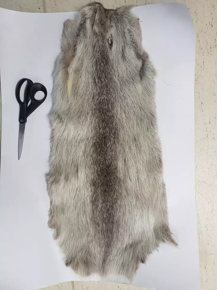 Nutria, ganzes Leder - Natürliche Fliegenmaterialien - 0699901459453 - 1