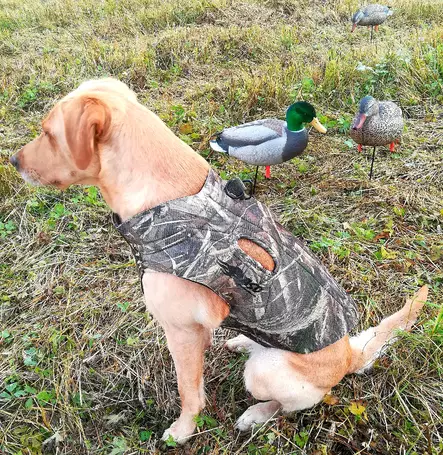 Maastokuvioinen koiraliivi - Dog accessories - 512064 - 5