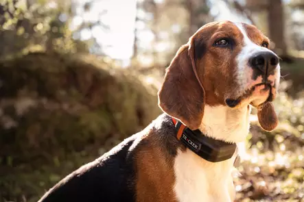 Tracker LUNA - Tracker hundpejl - 6438103003484 - 2