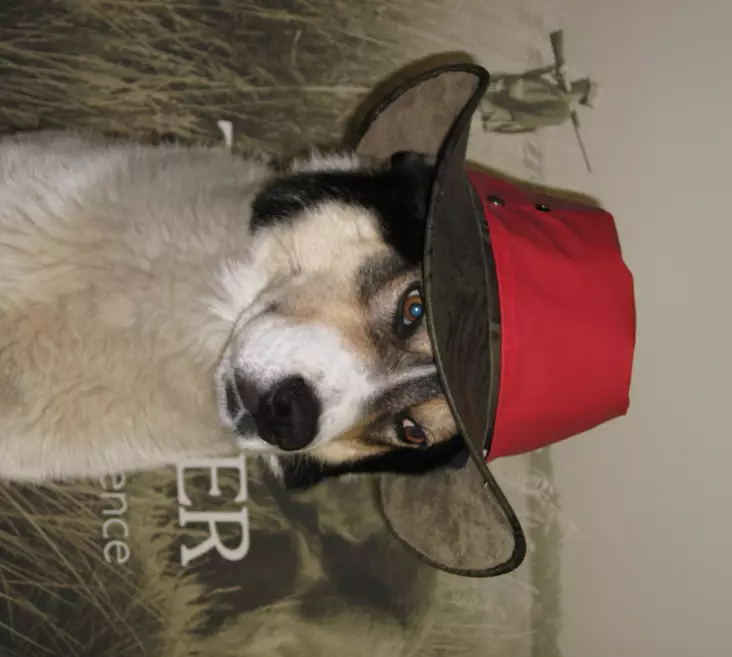 Hatt, älgskinn - Mössor och kepsar - 0699900002704 - 1