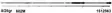 Abu Garcia Ike Signature 6' 8-28g, open - Spinning rods - 036282975415 - 1