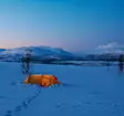 Fjällräven Polar Endurance 3, tält - Fjällräven tält och sovsäckar - 7323450260415 - 6