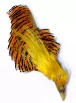 Golden Pheasant Complete Head - Naturliga bindmaterial - 6430028182435 - 1