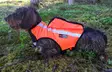 Kardog Inari GPS Safety Vest - Dog accessories - 651561665 - 1