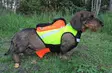 Kardog Inari GPS Safety Vest - Dog accessories - 651561665 - 4