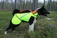 Kardog Pure Kevlar GPS Safety Vest - Dog accessories - 643006778385 - 3