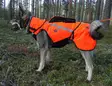 Kardog Pure Kevlar GPS Safety Vest - Dog accessories - 643006778385 - 2