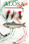 Flugkombination, Wet Fly - Flugor - 6430010610885 - 1