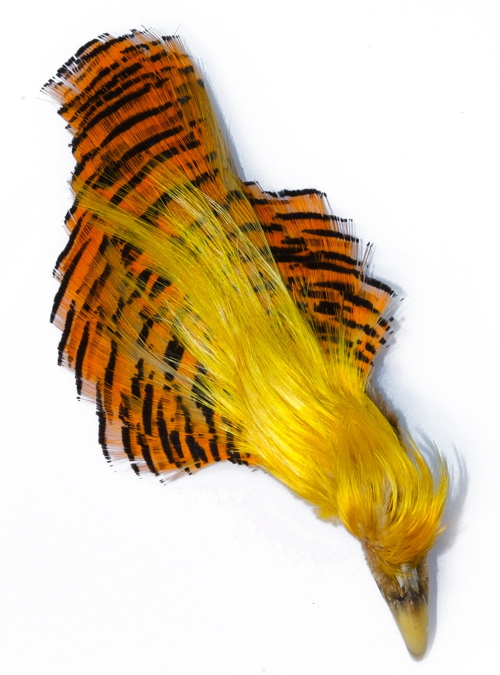Golden Pheasant Complete Head - Naturliga bindmaterial - 6430028182435 - 1