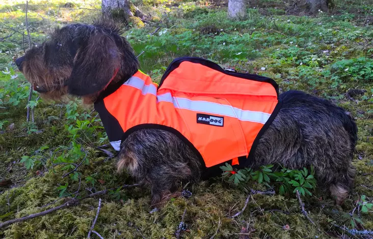 Kardog Inari GPS Safety Vest - Dog accessories - 651561665 - 1