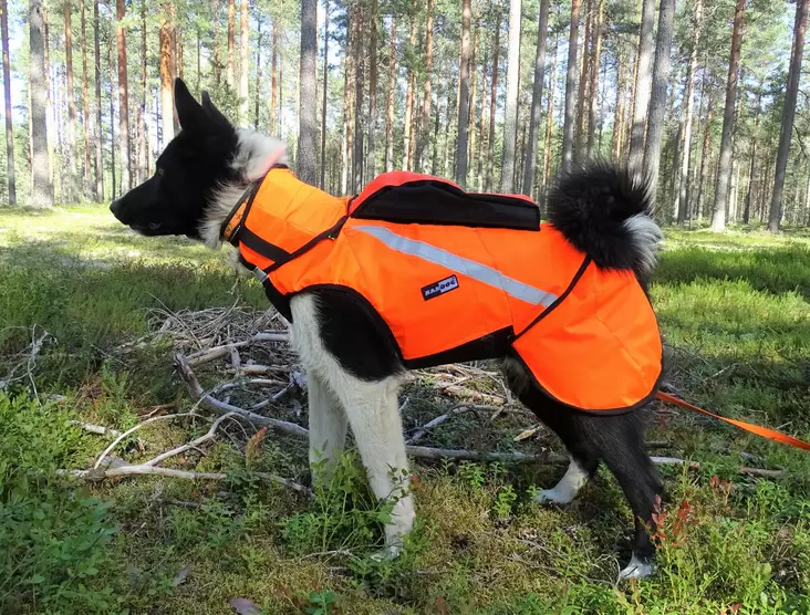 Kardog Pure Kevlar GPS Safety Vest - Dog accessories - 643006778385 - 1
