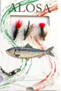 Flugkombination, Wet Fly - Flugor - 6430010610885 - 1