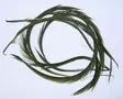 Olive - Naturliga bindmaterial - 6430028181636 - 1