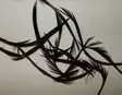 Ruskea - Naturliga bindmaterial - 6430028181636 - 3