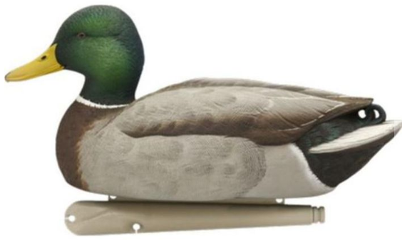 Avian-X Fusion 6-Pack, Duck Decoys - Decoys - 810280080766 - 1