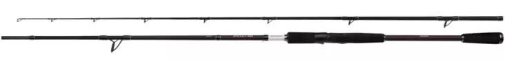 YASBBAXPI22H - Spinning rods - 8717009873956 - 1