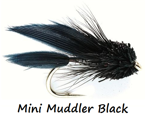 Streamer Fly 2pc, Mini Muddler Bl. S12 - Ready-made flies - 6430037106996 - 1