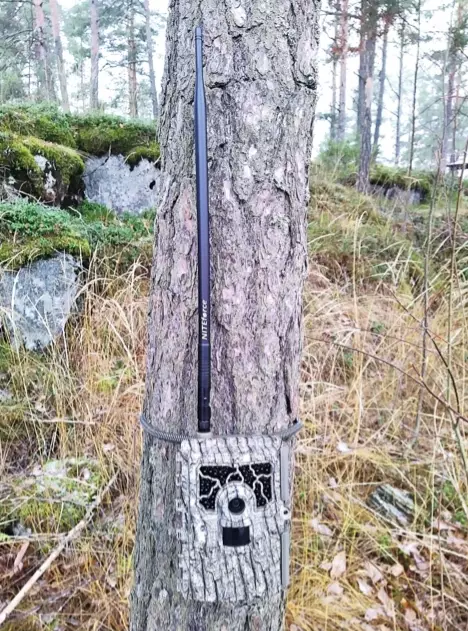 Power Antenna for Trail Camera 39cm - Riistakamerat - 6430061582216 - 1