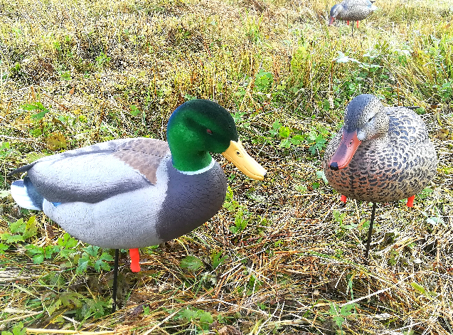 GHG Pro-Grade Full Body Mallards, Active - Bulvaner - 0700905722167 - 1