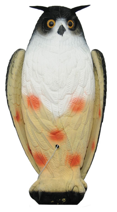 Live Decoys Owl Decoy - Decoys - 0699900004807 - 1