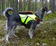 Kardog Jehu schwimmende GPS-Sicherheitsweste - Hundeausrüstung - 20150588888 - 4
