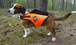 Kardog Jehu schwimmende GPS-Sicherheitsweste - Hundeausrüstung - 20150588888 - 3