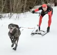 Universal adapter för hundkoppel, Kainpo - Sparkstöttingar och tillbehör - 6430054950008 - 2