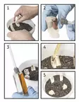 Wild Boar Tooth Filling Kit, Basic - Trofee products - 4250392313158 - 3