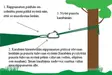DMM Karbinhake, DD Hammocks - Tält, sovsäckar och hängmattor - 4030454000479 - 2